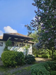 conac nunta Bucuresti