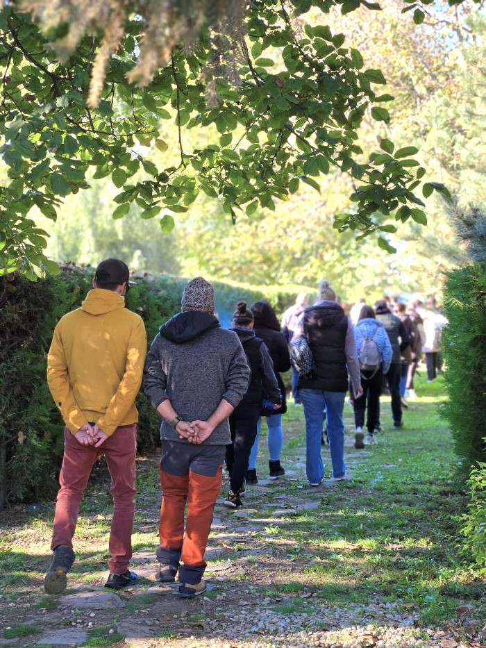 Workshop in aer liber langa Bucuresti, Ilfov, brainstorming si sesiuni strategie